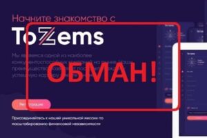 ToZems — отзывы о компании tozems.net