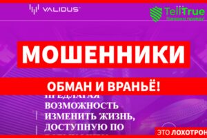 Validus (teamvalidus.com) финансовая пирамида под прикрытием!
